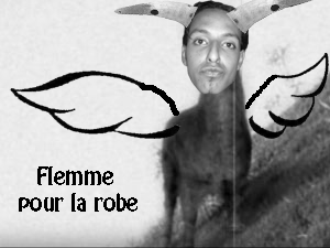 Si la photo ne marche pas c'est ballot